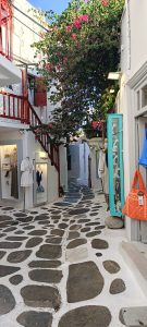 thumbnail_IMG20240905173330