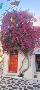 thumbnail_IMG20240905181915