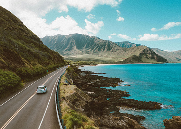 Transfery-indywidualne-grupowe